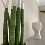 Cozy Flat Appartments In Apartament